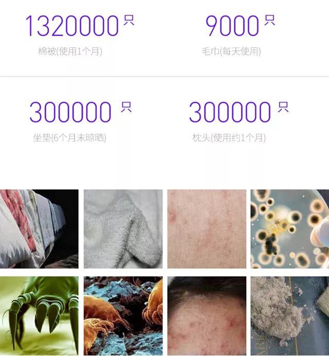 火狐电竞:一个月不洗的棉被有1320000只螨虫你的脸上长痘了吗